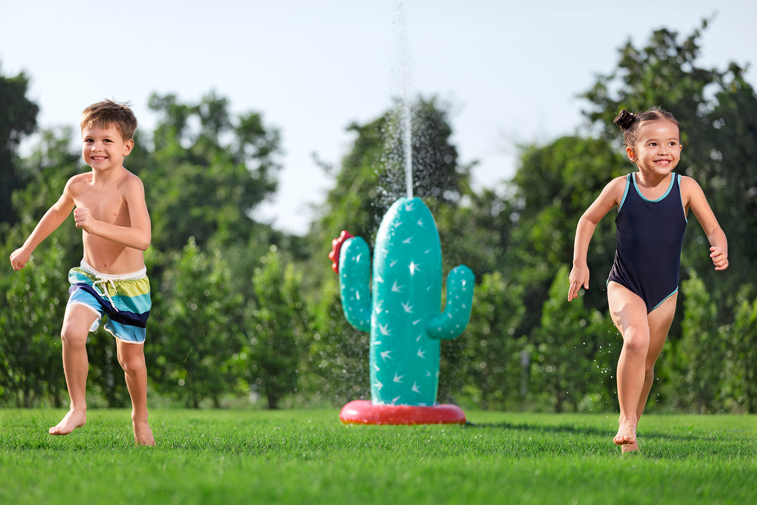 Wassersprinkler Kaktus 74 x 56 x 104 cm Wassersprinkler Kaktus 74 x 56 x 104 cm
