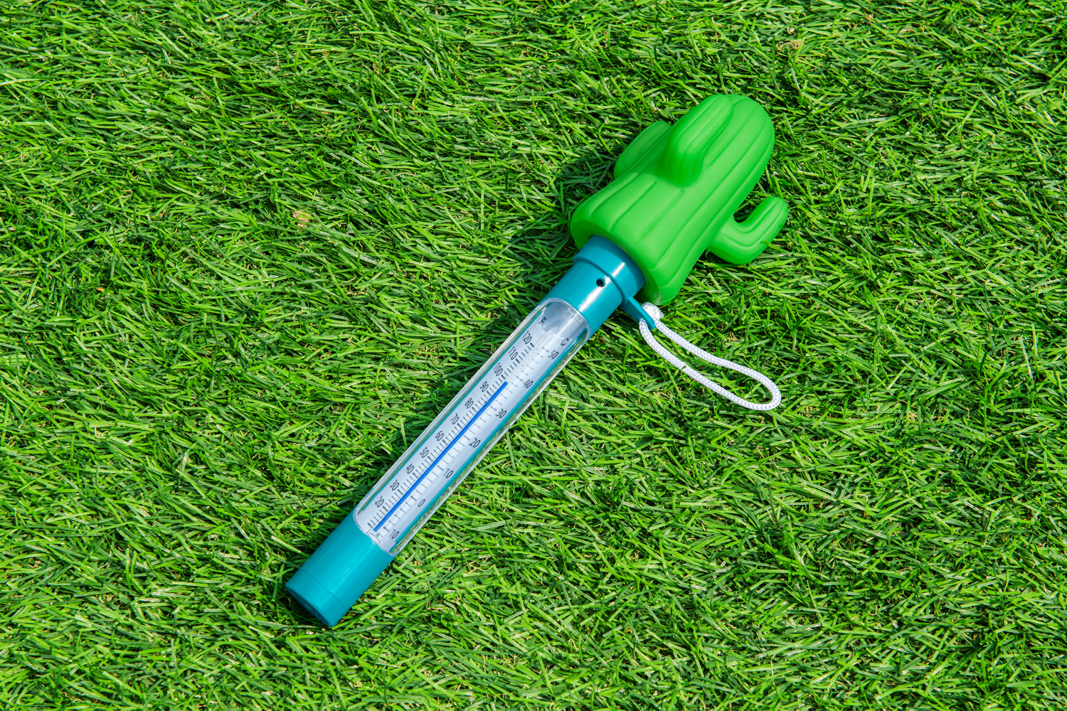 schwimmendes Poolthermometer Kaktus 8 x 6,5 x 25 cm