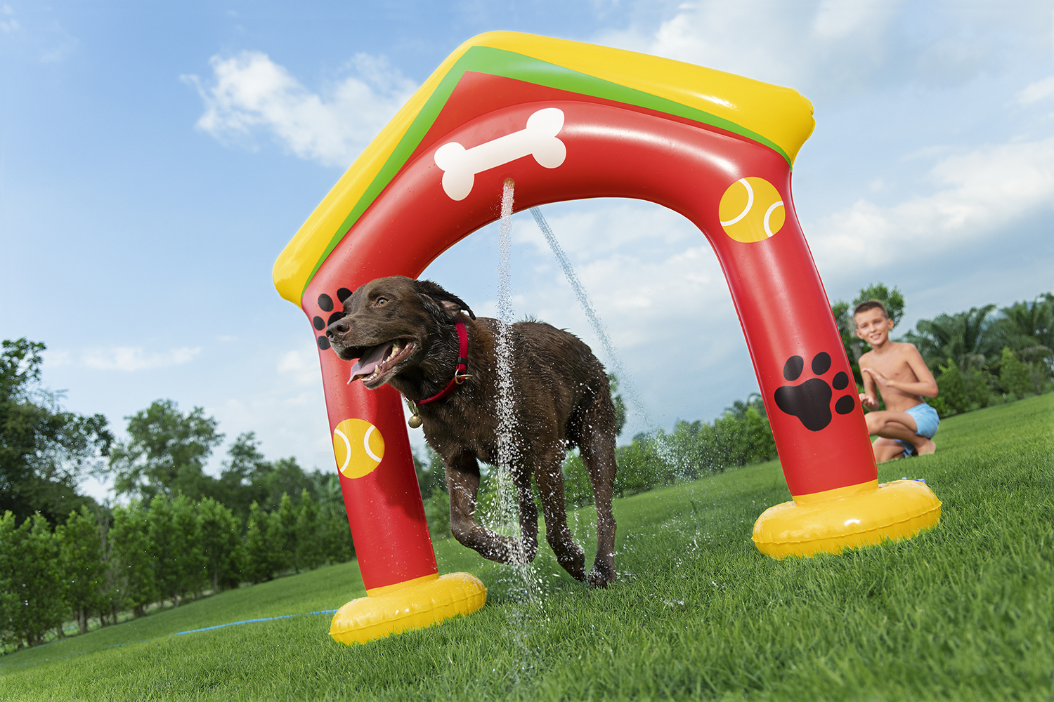 Wassersprinkler Pfote für Haustiere 142 x 36 x 127 cm Wassersprinkler Pfote für Haustiere 142 x 36 x 127 cm