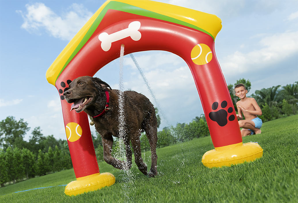 <h4>spiel,-spaß-&amp;-abkühlung!-<br>-das-sommerparadies-für-deinen-hund</h4>