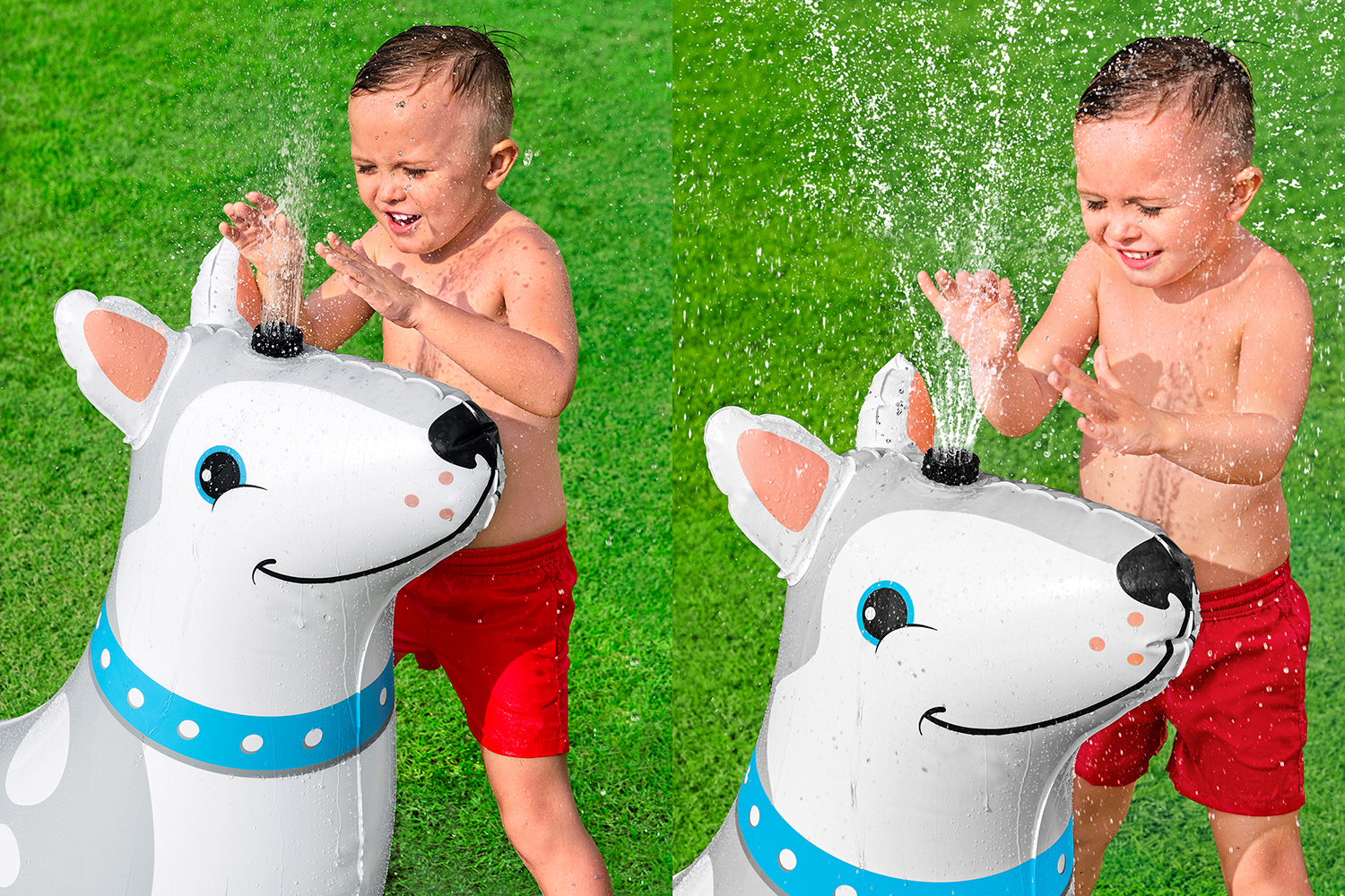 Happy Husky™ Wassersprinkler 112 x 44 x 100 cm Happy Husky™ Wassersprinkler 112 x 44 x 100 cm