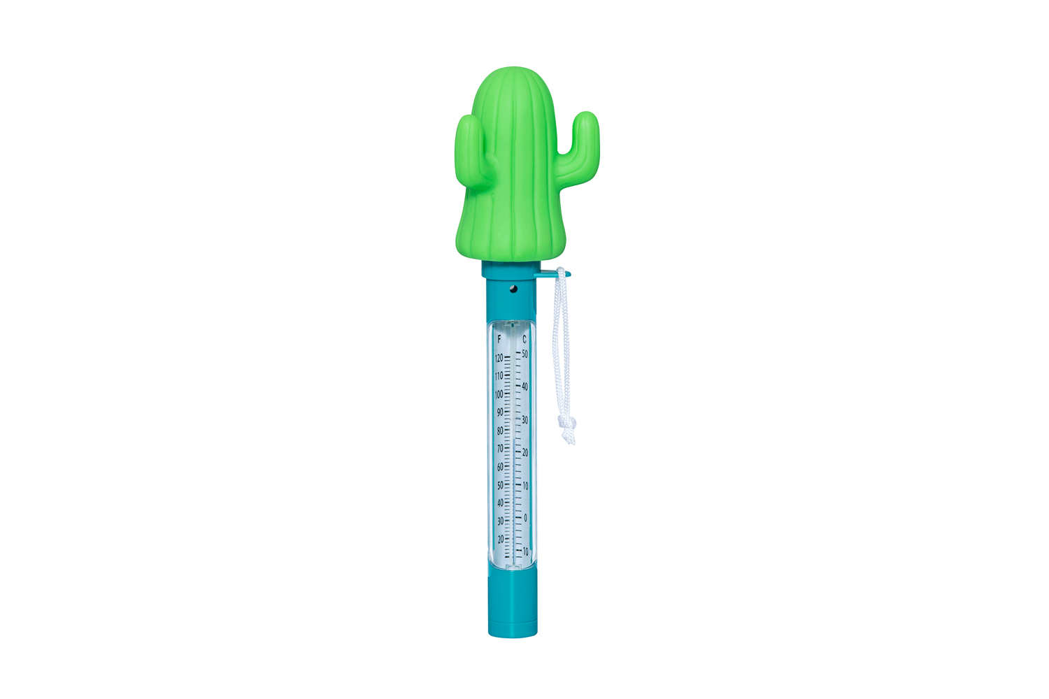 schwimmendes Poolthermometer Kaktus 8 x 6,5 x 25 cm