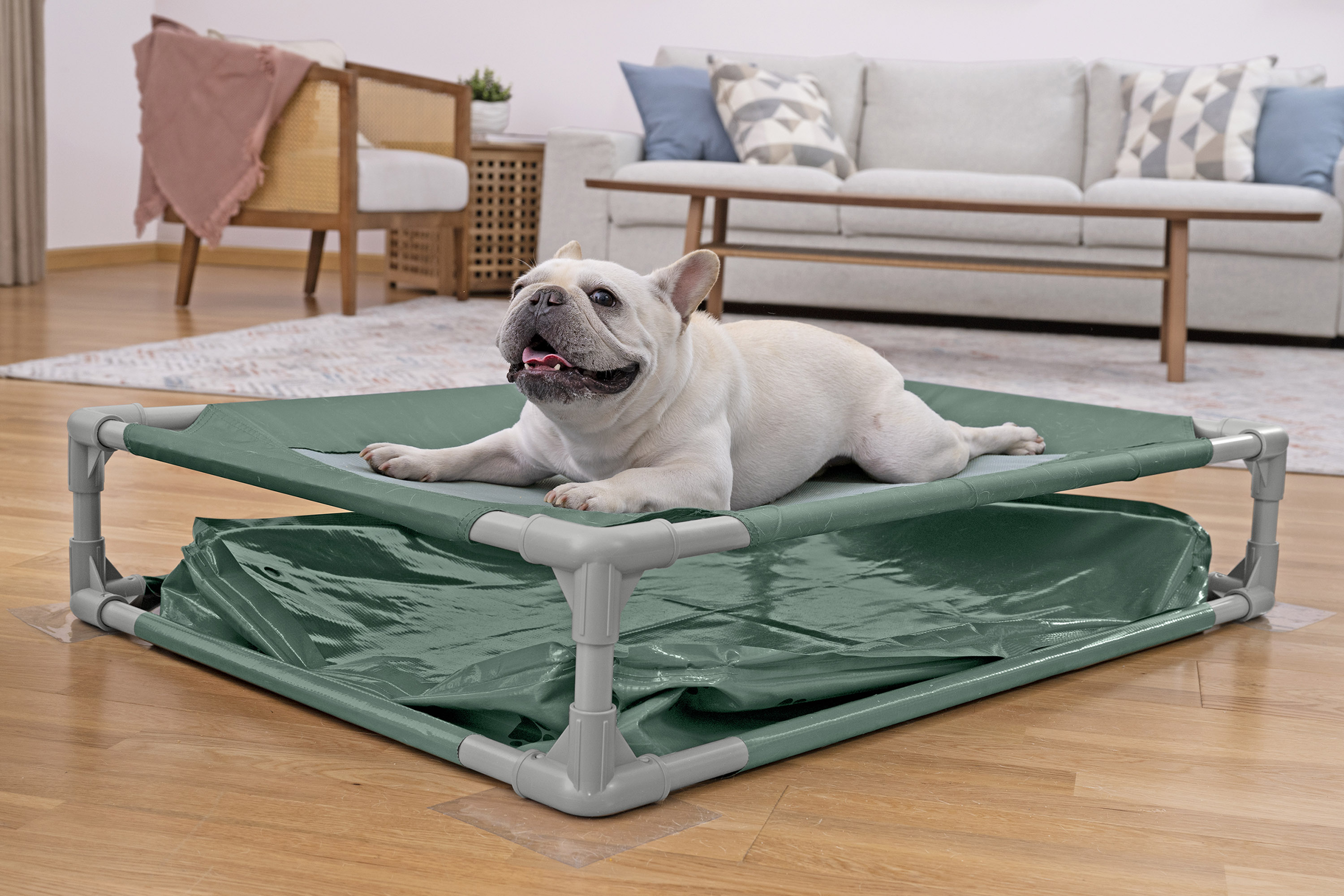 My First Frame Pool Pfote für Haustiere mit 2 in 1 Design 102 x 74 x 20 cm, eckig