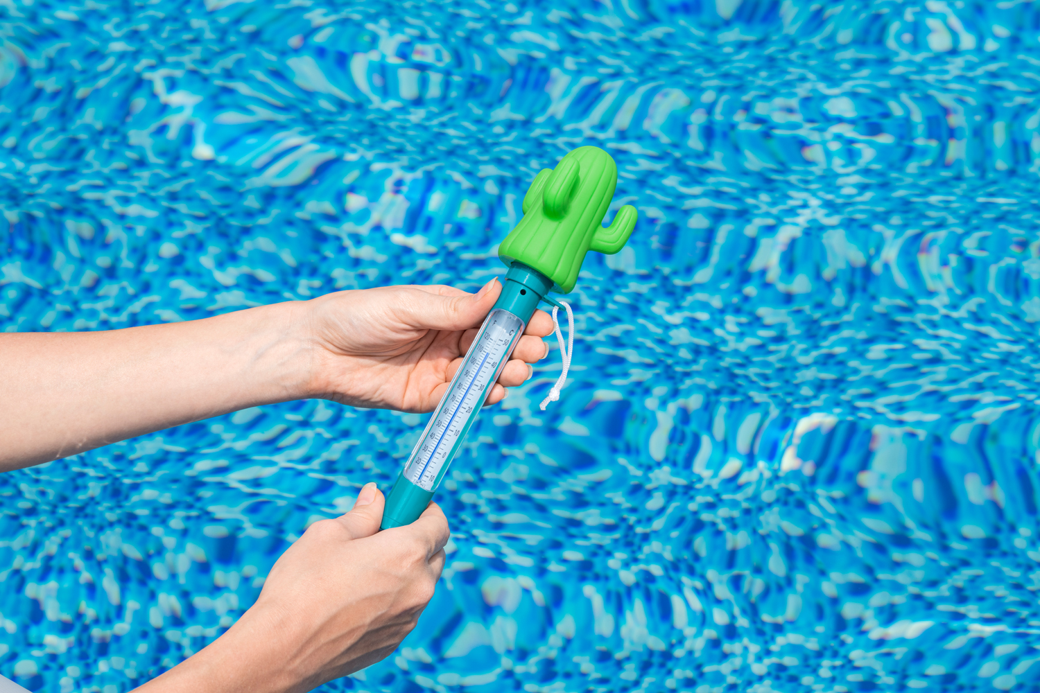 schwimmendes Poolthermometer Kaktus 8 x 6,5 x 25 cm