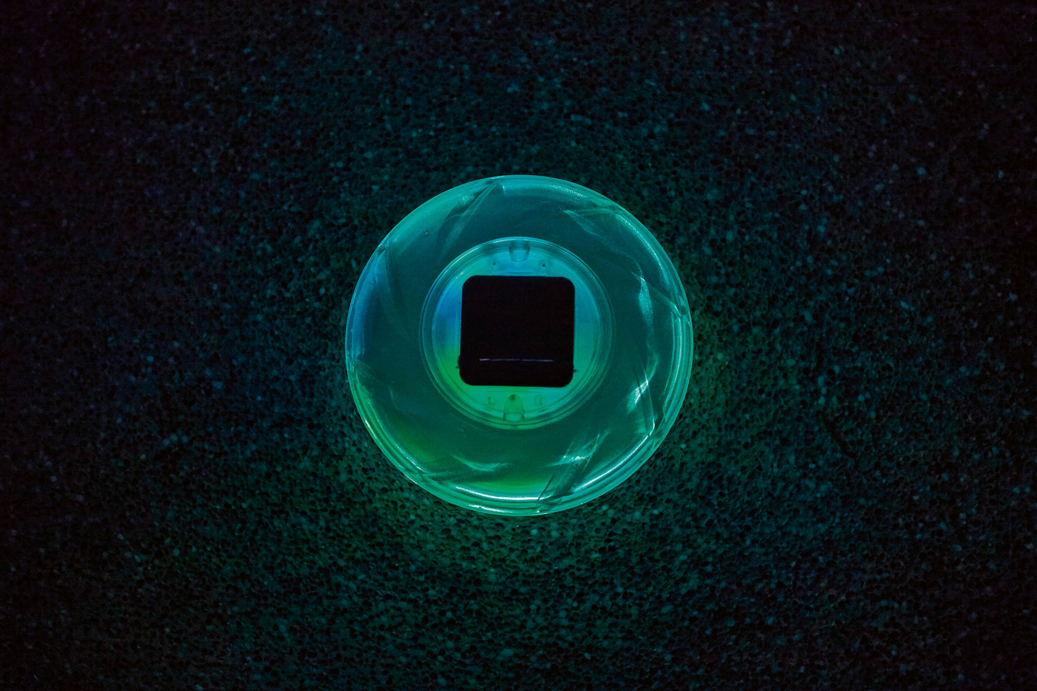 schwimmende Solar-LED-Poolleuchte, Ø 18 cm