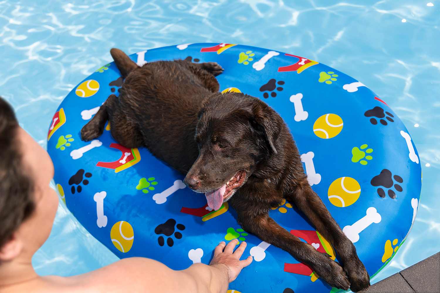 Luftmatratze Pfote für Haustiere 142 x 95 x 17 cm Luftmatratze Pfote für Haustiere 142 x 95 x 17 cm