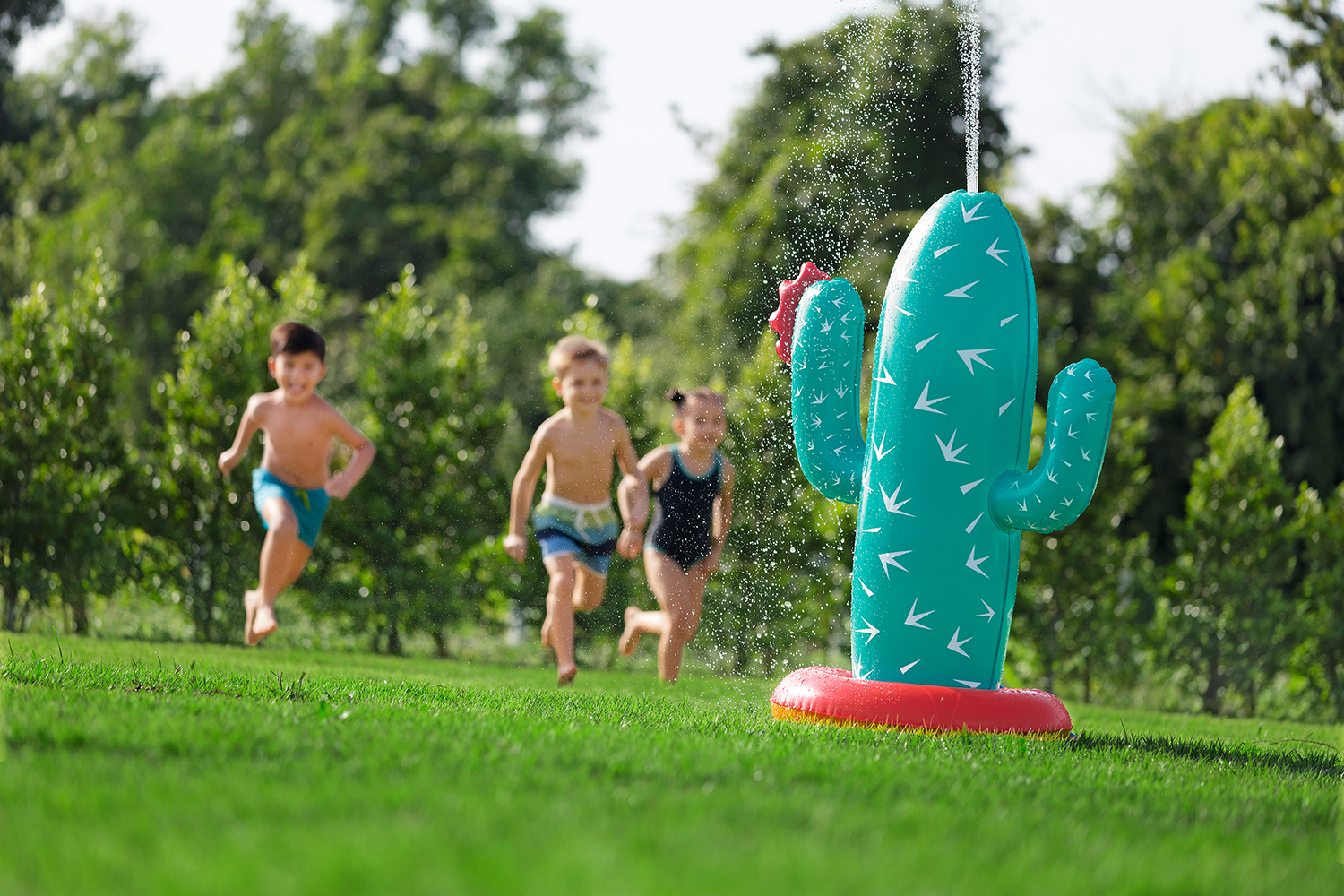 Wassersprinkler Kaktus 74 x 56 x 104 cm Wassersprinkler Kaktus 74 x 56 x 104 cm