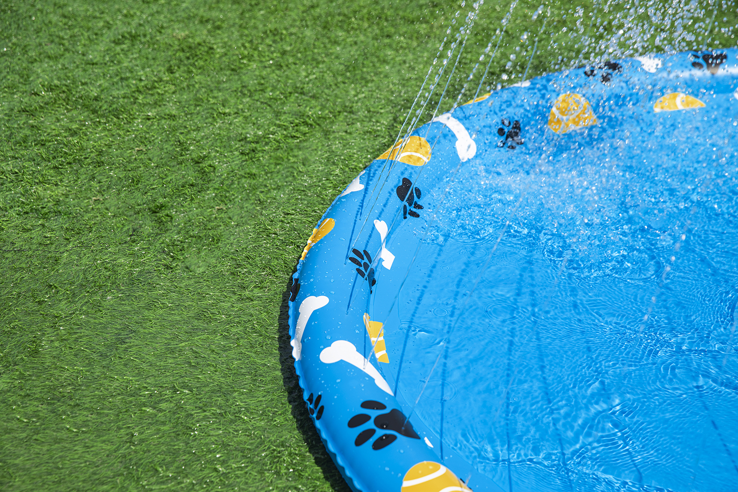 Wassermatte Pfote für Haustiere Ø 147 cm