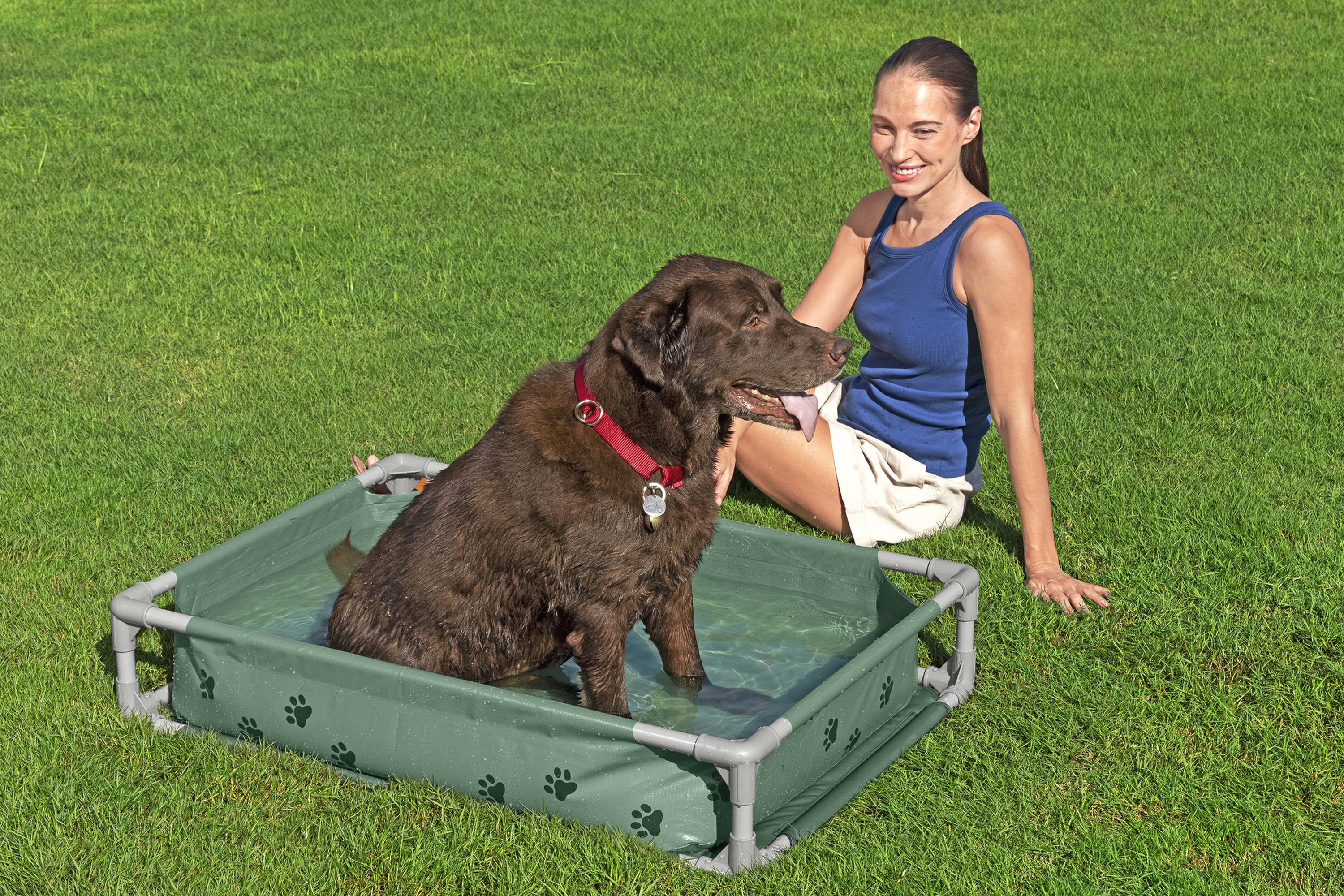 My First Frame Pool Pfote für Haustiere mit 2 in 1 Design 102 x 74 x 20 cm, eckig