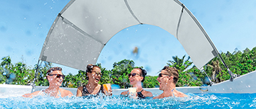 Sun & privacy protection image