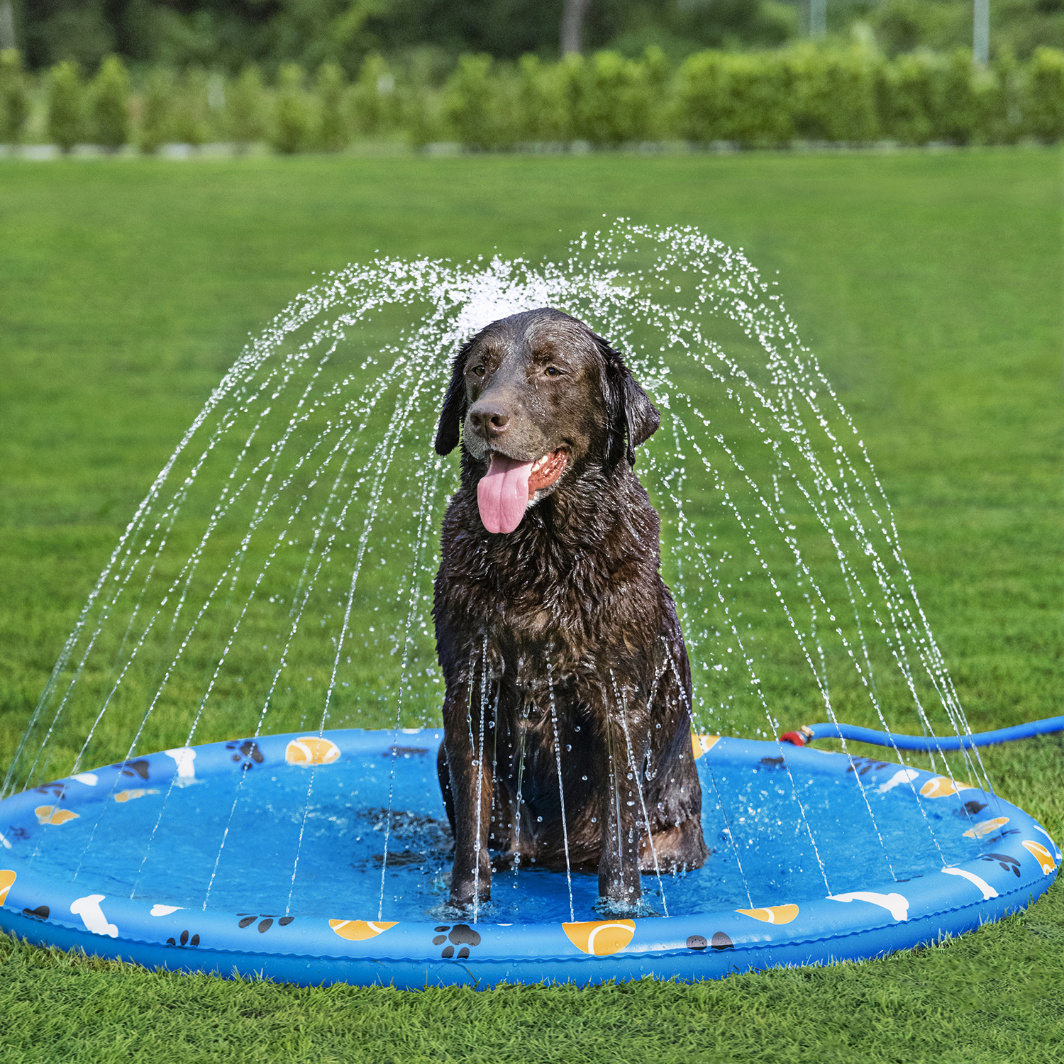 Wassermatte Pfote für Haustiere Ø 147 cm