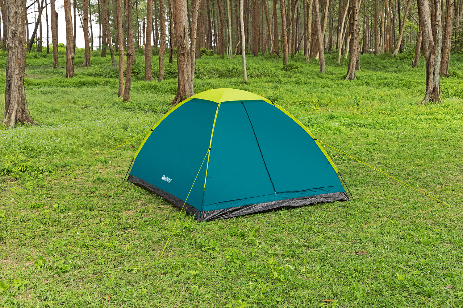 4-Personen-Zelt Wander Dome™ 200 x 240 x 135 cm  4-Personen-Zelt Wander Dome™ 200 x 240 x 135 cm