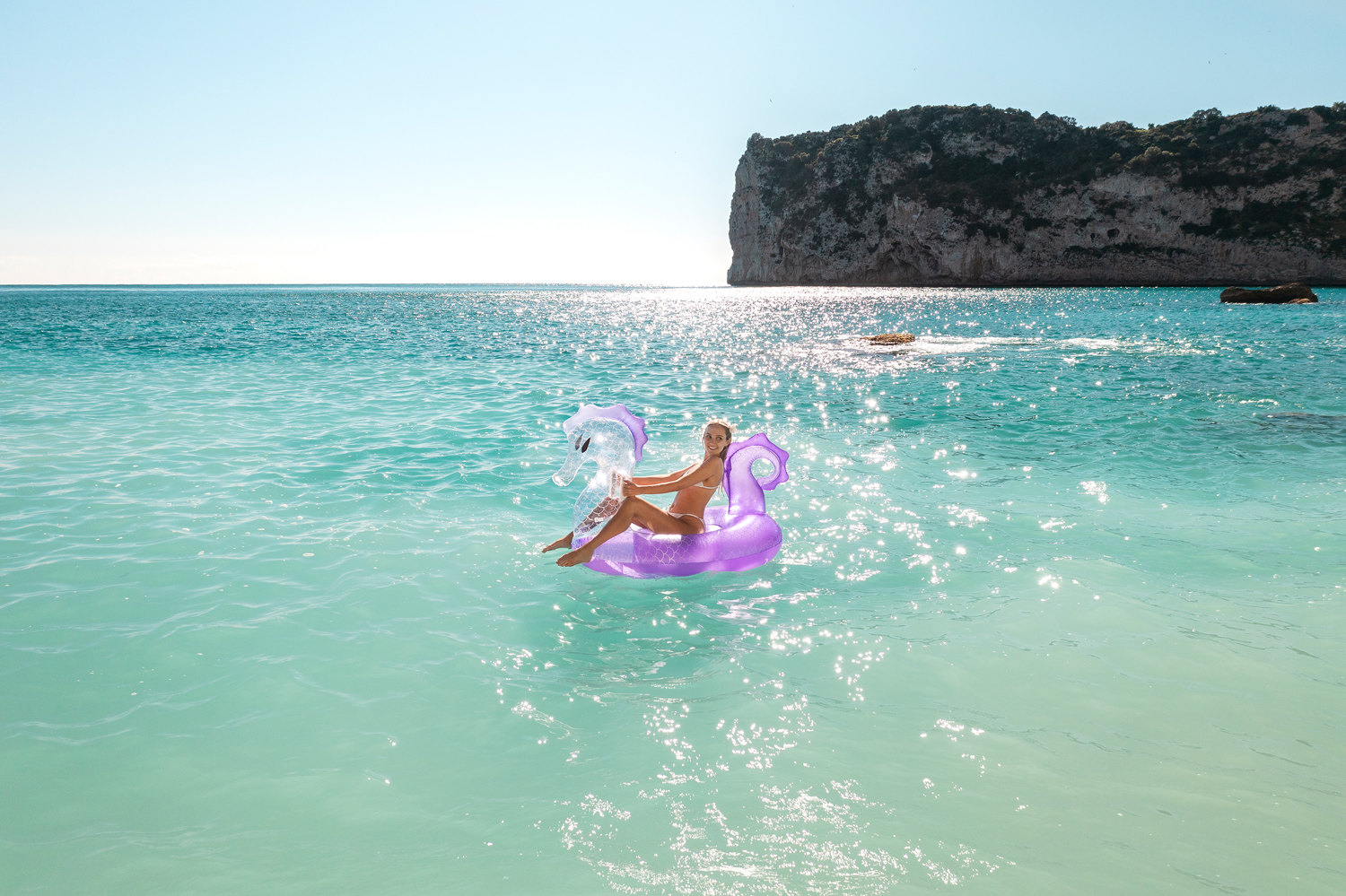 Schwimmtier Royal Seahorse™ 170 x 120 cm