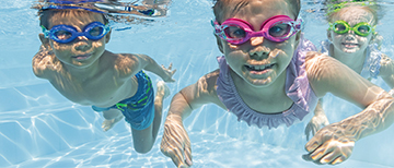 Diving & Swimming image
