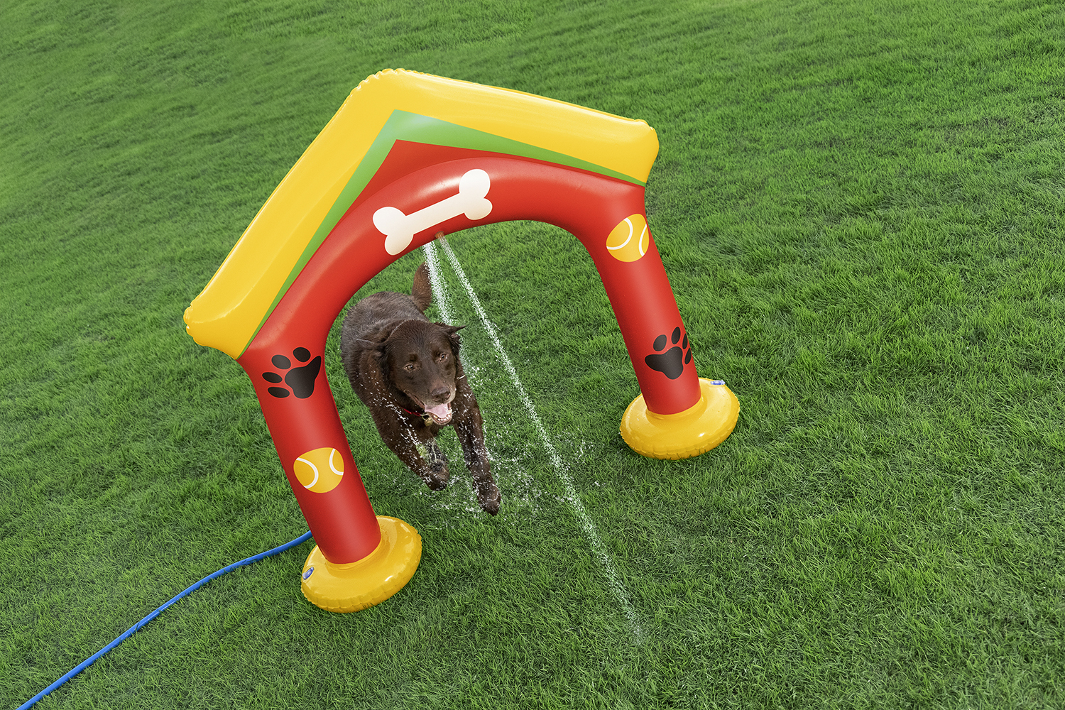 Wassersprinkler Pfote für Haustiere 142 x 36 x 127 cm