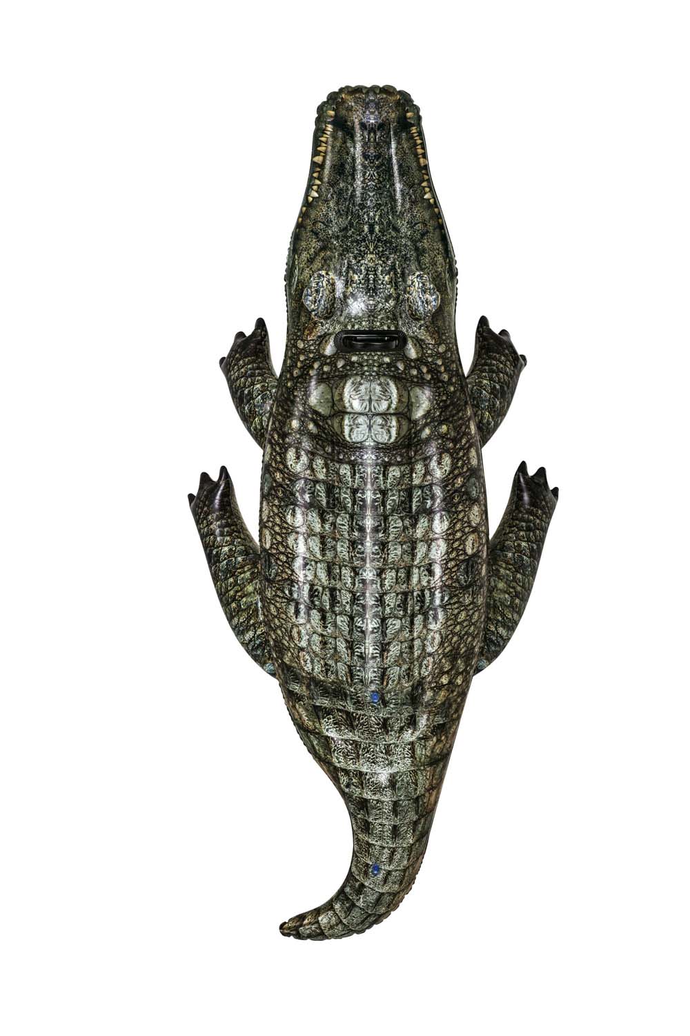 Realistic Reptile™ Schwimmtier 193 x 94 cm