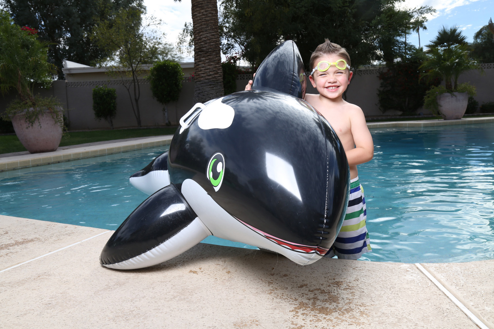 Jumbo Whale Rider 203x102 cm, Schwimmtier