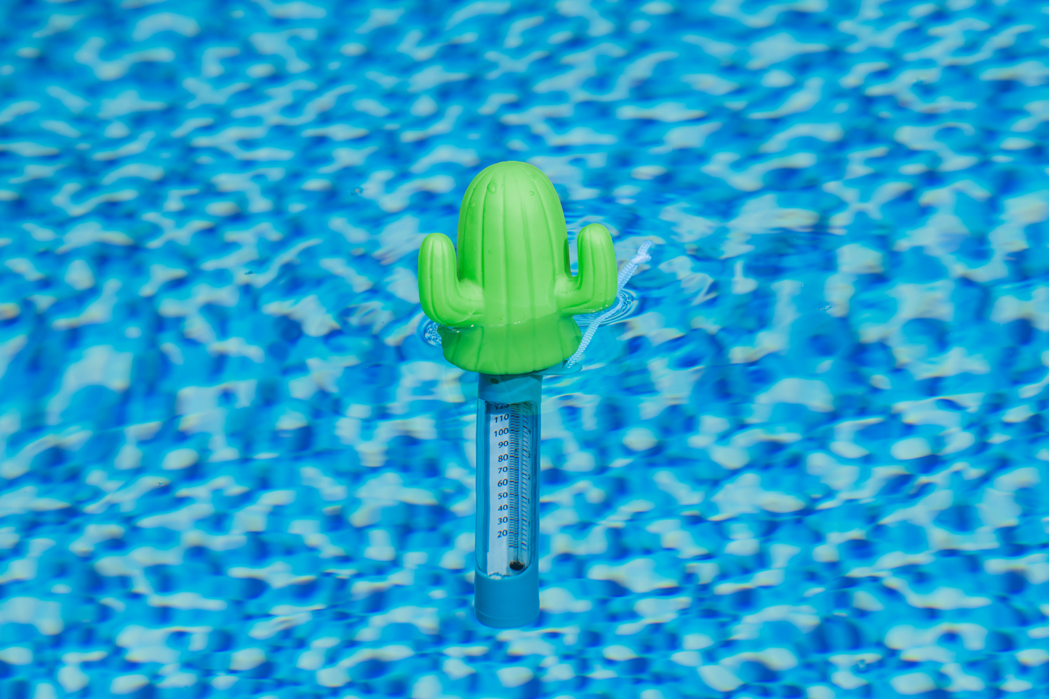 schwimmendes Poolthermometer Kaktus 8 x 6,5 x 25 cm