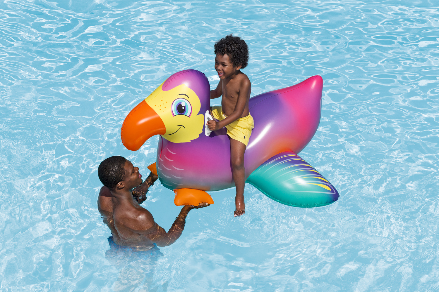 Schwimmtier Dandy Dodo™ 141 x 113 cm