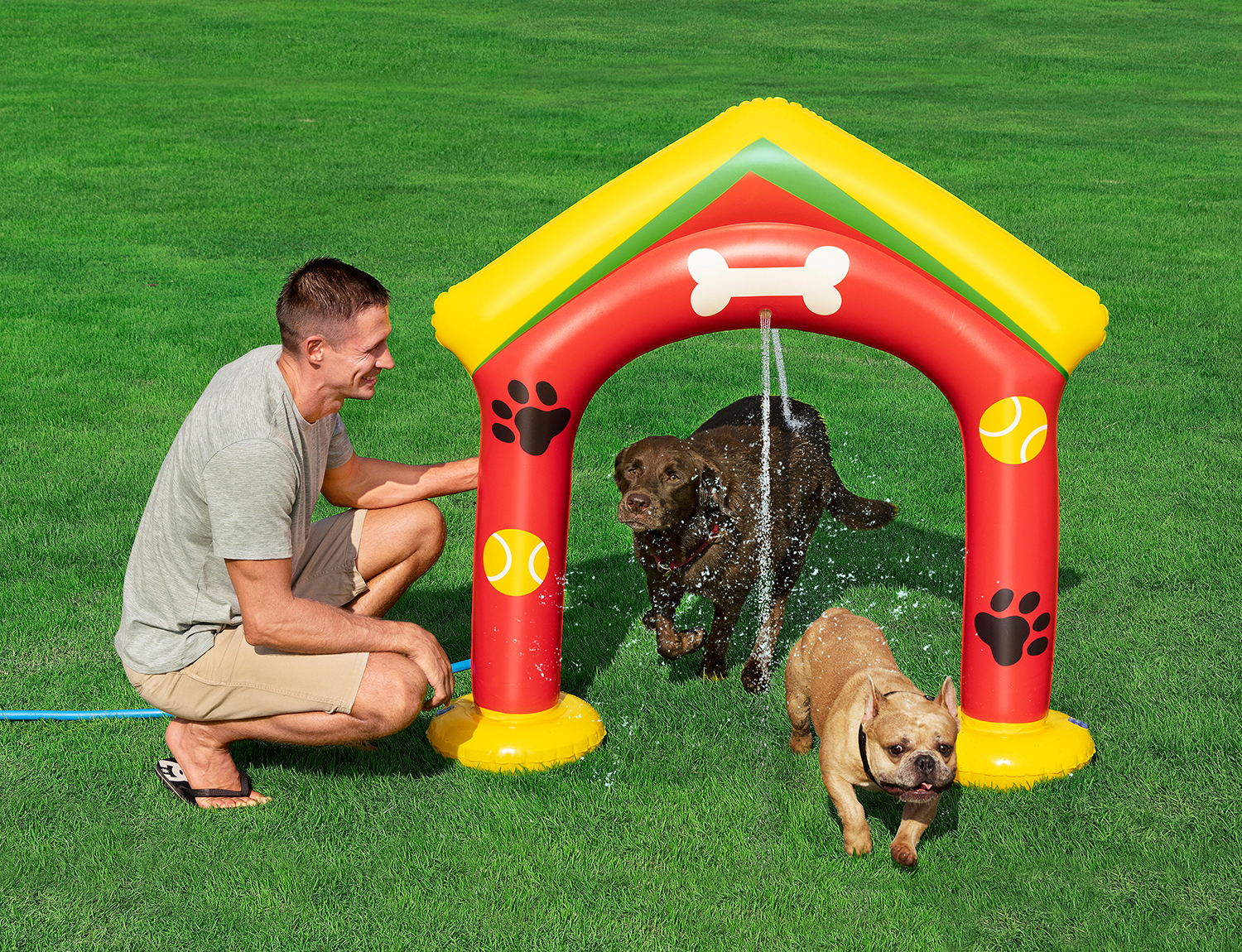 Wassersprinkler Pfote für Haustiere 142 x 36 x 127 cm