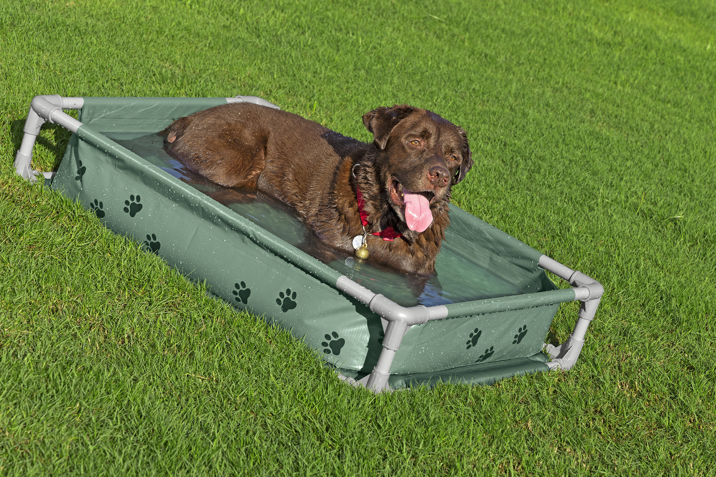 My First Frame Pool Pfote für Haustiere mit 2 in 1 Design 102 x 74 x 20 cm, eckig