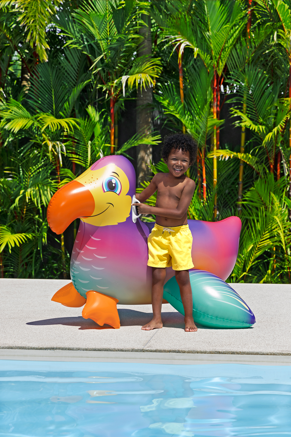 Schwimmtier Dandy Dodo™ 141 x 113 cm