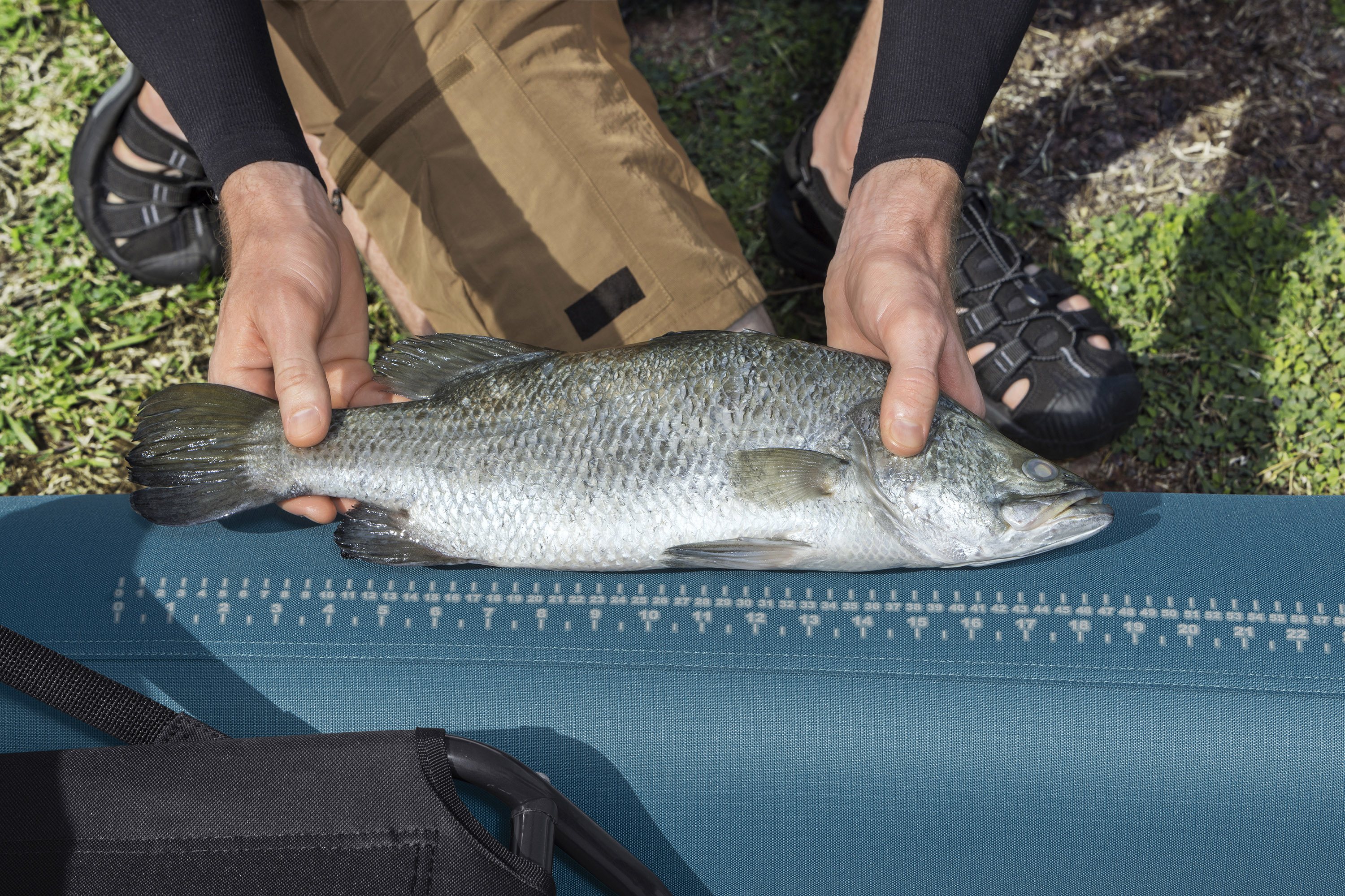 Hydro Force® Kajak Set Angler Elite™ mit Anglersitz 380 x 99 x 37 cm