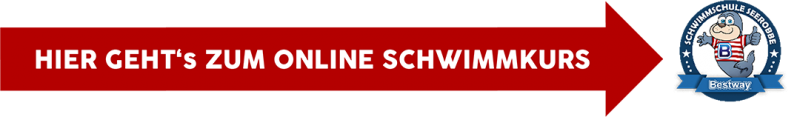 media/image/schwimmschuleElement-1.png